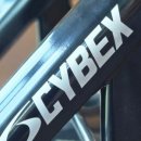 팀투나인 피트니스 이미지