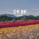 승일정비 | 강원도 철원 당일치기 여행 - 엄마와 함께한 고석정 꽃밭 가을 나들이