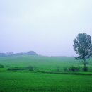 동화연구지도사 이미지