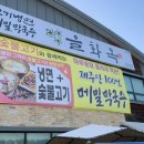 고기냉면 을화옥 | 조치원 고기 냉면 맛집 &#39;을화옥&#39; 내돈내산 후기 (+휴무일정)