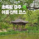 여름 경주여행 보문관광단지 주차장 꿀팁, 보문정 산책 코스 추천