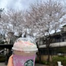 도성김치찜 | 먹고 마시고🍗🍺☕️