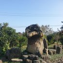 보담애월 이미지