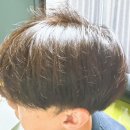오리엔탈파마 | 엠자탈모가 신경쓰인다면 더마프 샴푸로 관리. 두피 스켈링은 덤.