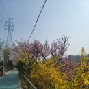 창동교 화장실 이미지