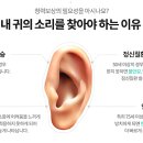 스타키보청기종로센터
