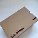 살로몬 Salomon XT-6 델리시오소 스니커즈 운동화 리뷰