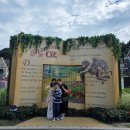 가족소풍 이미지