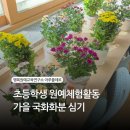 선단초교 | 그림책 원예테라피 체험활동으로 가을국화 마크라메 화분만들기 수업했어요