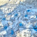 세종약품 주식회사 이미지