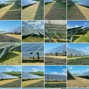 뿌리 태양광발전소 이미지