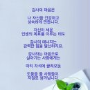 다님 이미지