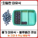 기나키친 | [치밀한 이유식] 중기 블루베리 큐브 만들기! 실패없는 블루베리 고르는 법과 식초물 3분 세척법