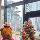 루아커피 | 여의도 광장아파트 근처 새로 생긴 카페 루아 브런치카페