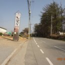 왁새골길 Daum카페