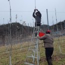 건이네 농장 이미지