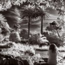 국제가든 이미지