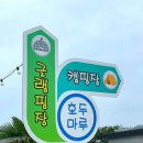 호두마루 캠핑 이미지