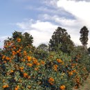 미성민박 이미지