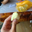 경남 사천 숙소 서포 바다정원민박 독채 펜션 재첩 캐고 낚시하기 좋은 곳