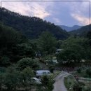 산새소리 이미지