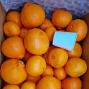 보내농장 이미지