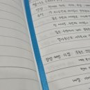 굴화 이미지