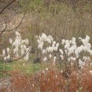 평은초등학교 이미지