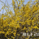 유하의정원 이미지