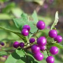 별찌펜션 이미지