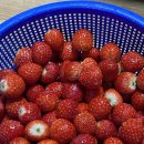 국민은행(송탄점) 이미지