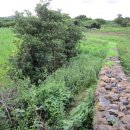 신풍리 사무소 이미지