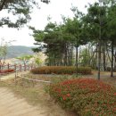 옥계공원 Daum카페