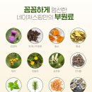 365별빛약국 이미지