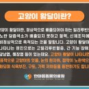 한마음종합동물병원 이미지