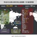 2.29현재 중국 우한폐렴 코로나바이러스 국내,세계 현황 이미지