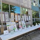 수채캘리그라피 이미지