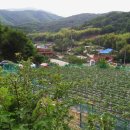 내고향휴게소 이미지