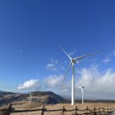 풍경목장 | 화이트시즌에만 만나는 풍경 / 대관령 삼양목장 라운드힐 겨울 방문솔직 후기