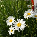 동학농민혁명기념공원 이미지