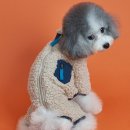 아이도그 이미지