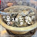 석화농원 | "경기 안산시" 평일에도 사람 많은 이유, 안산 대부도 굴구이 맛집 용재농원