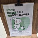 오송 봄봄 동물병원 이미지