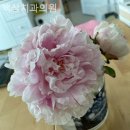 백상치과의원 이미지