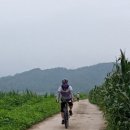 대신자전거 - 경산시 금송로 57 | 대신자전거