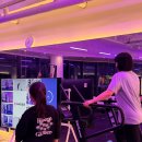 더베럴 캠프 | 영종도 PT 고민 끝! 혼자보다 즐거운 더베럴캠프 그룹PT 리얼 후기