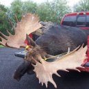 푸마농장 이미지