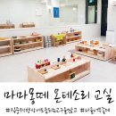 마마몽떼 몬테소리 가을학기 시작했어요!