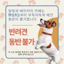 카페11월