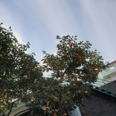 한·미 행정사사무소 이미지